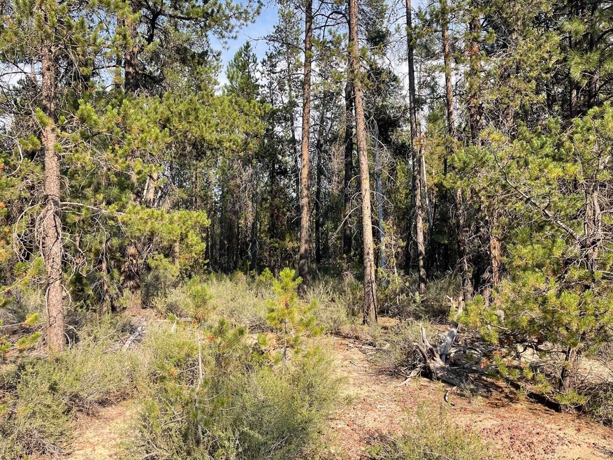 .44 Acres Roberts River Acres