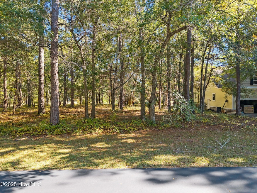 3055 Channel Dr SE, Bolivia, NC 28422 - photo 1