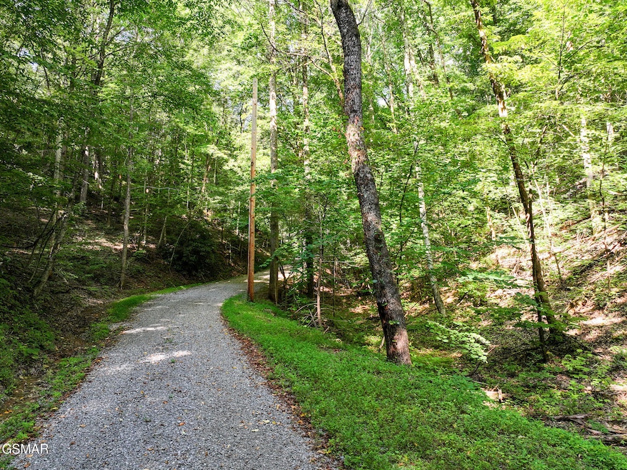 199 Tsali Way, Sevierville, TN 37876 - photo 1