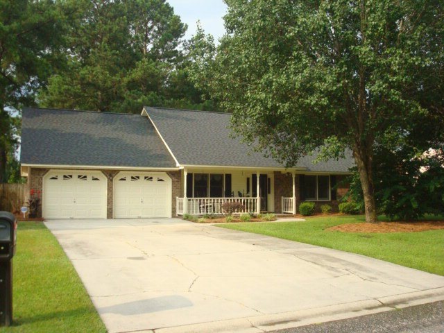 Main View