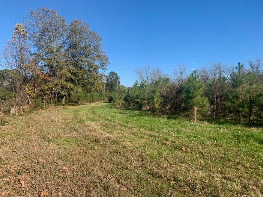 238 Rhine Rd, Fitzgerald, GA 31750 - photo 1