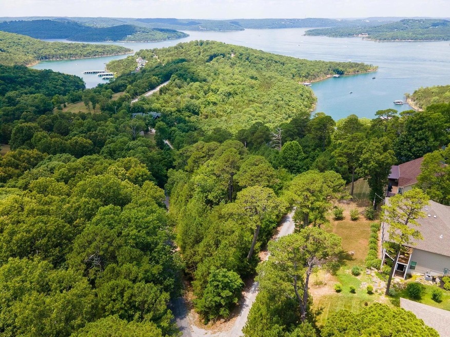 00 Ponderosa Pine Dr unit Lot 12, Pine A Township, MO 65611 - photo 1