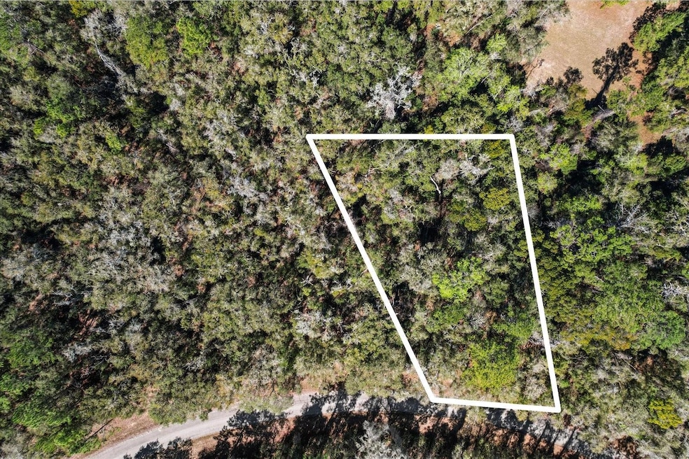 987 E Odin Dr, Citrus Springs, FL 34434 - photo 1