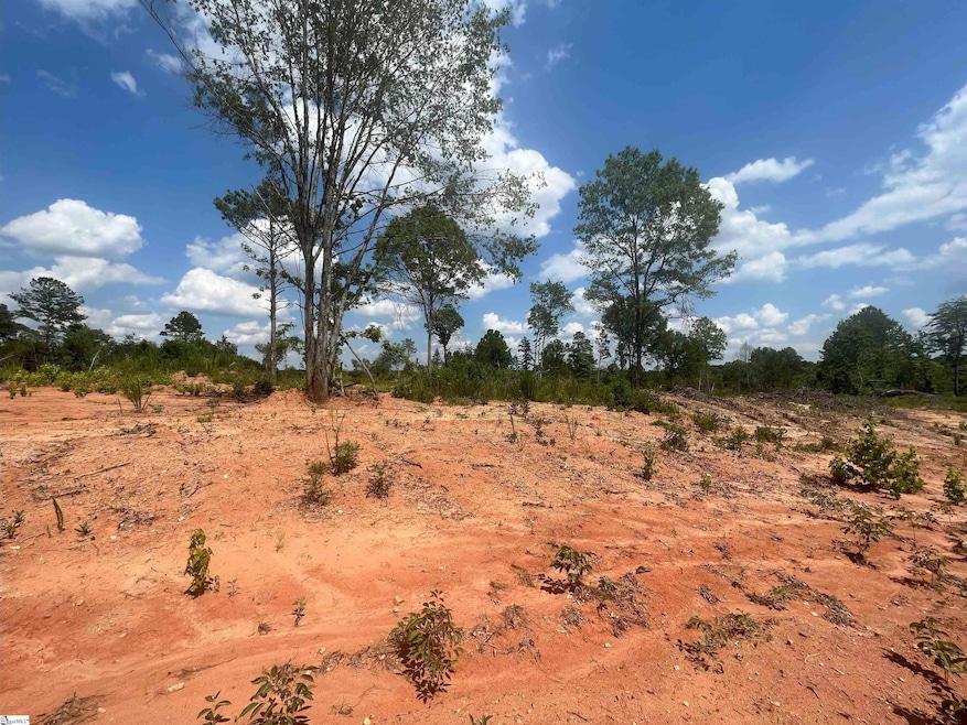 00 Casey Rd, Woodruff, SC 29388 - photo 1