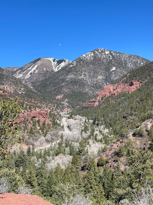 View of Gray Head and Whipple Mts.