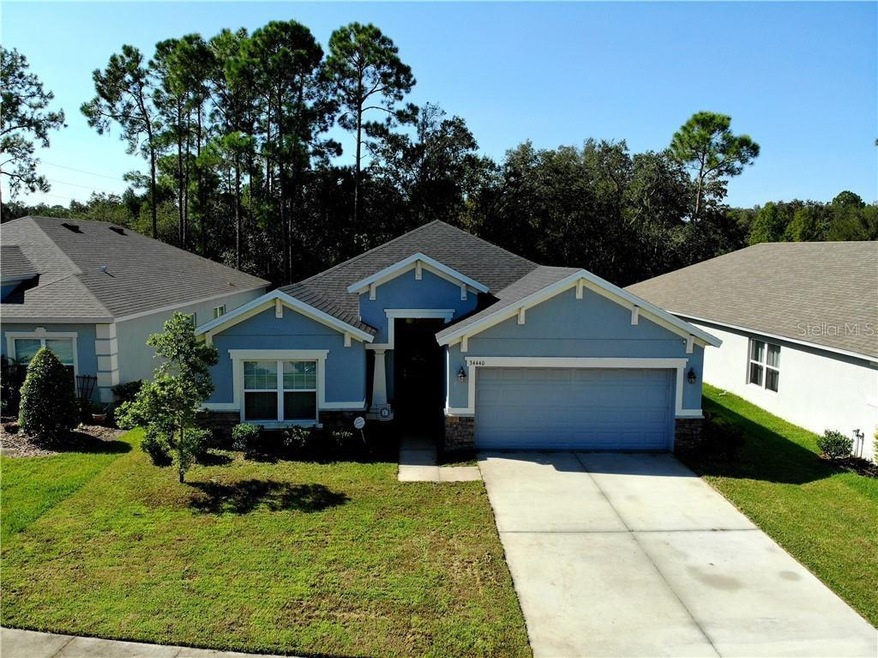 34440 Blue Ash Ct, Wesley Chapel, FL 33545 - photo 1