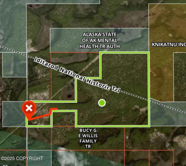 Lewis Loop Overview