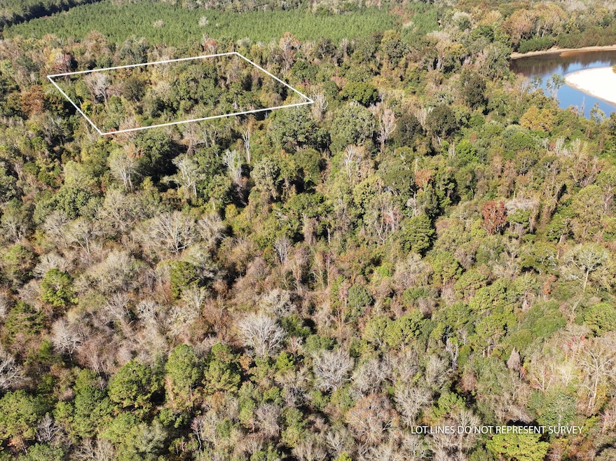 Old_Hwy_24_W_Lot_39-1