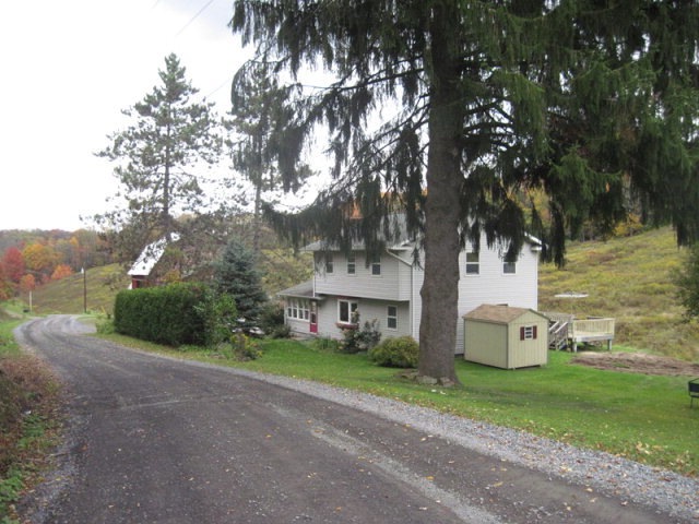 Main View