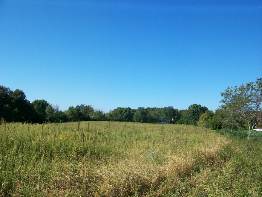 177 Main(lot 2 Rear) St, Glastonbury, CT 06073 - photo 1