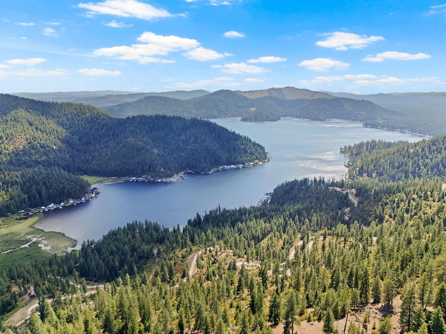 4139 N Deer Lake Rd unit LOT 5, Loon Lake, WA 99148 - photo 1