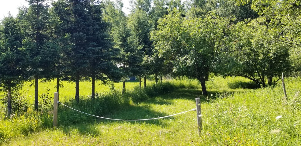 000 W 2nd St, Hulbert, MI 49748 - photo 1