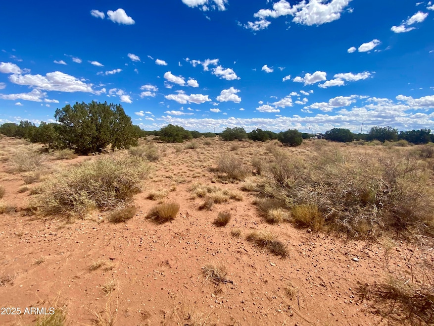 1) 65267-6915e70ae3f16