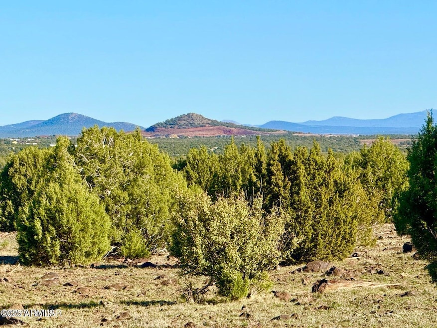 TBD, Show Low, AZ 85901 - photo 1