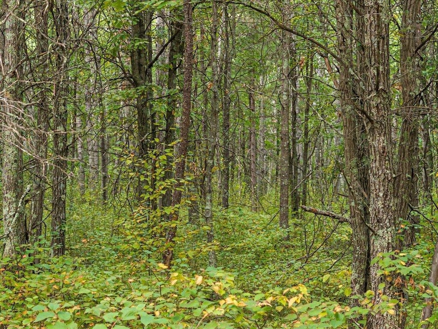 Lot B Sandbar Ln, Mission Township, MN 56465 - photo 1