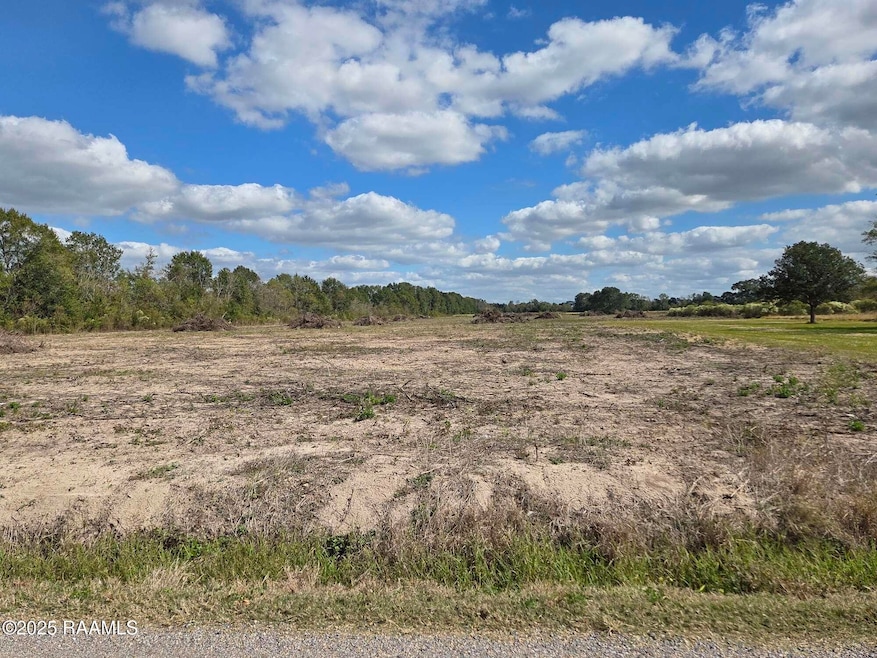 Tbd Rue Novembre Rd, Scott, LA 70583 - photo 1