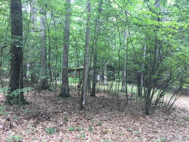 37 Pulpit Rock Ln, Drum, PA 18222 - photo 1