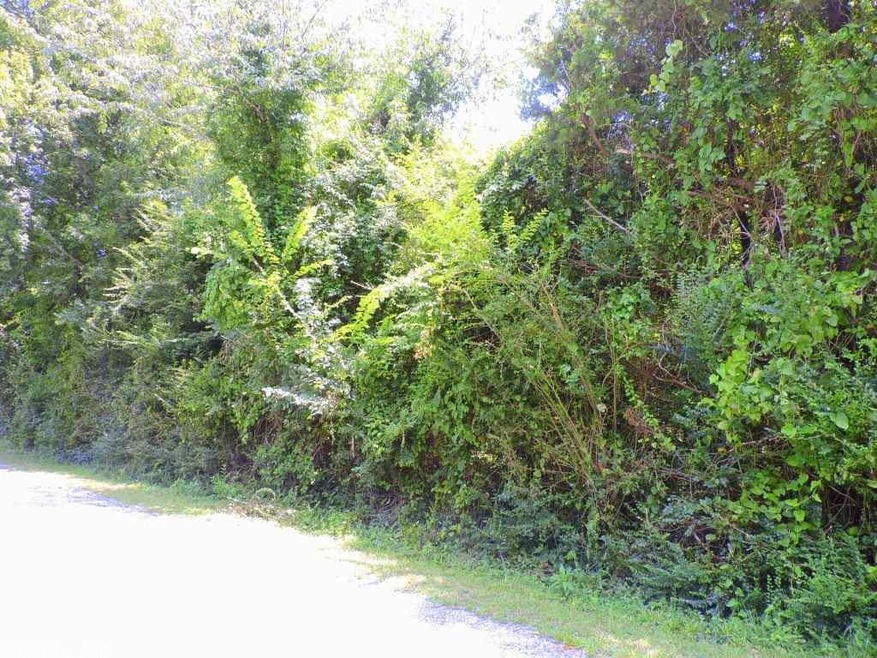 0 Sword Ln unit TRACT 1 20001321, Big Rock Township, AR 72223 - photo 1