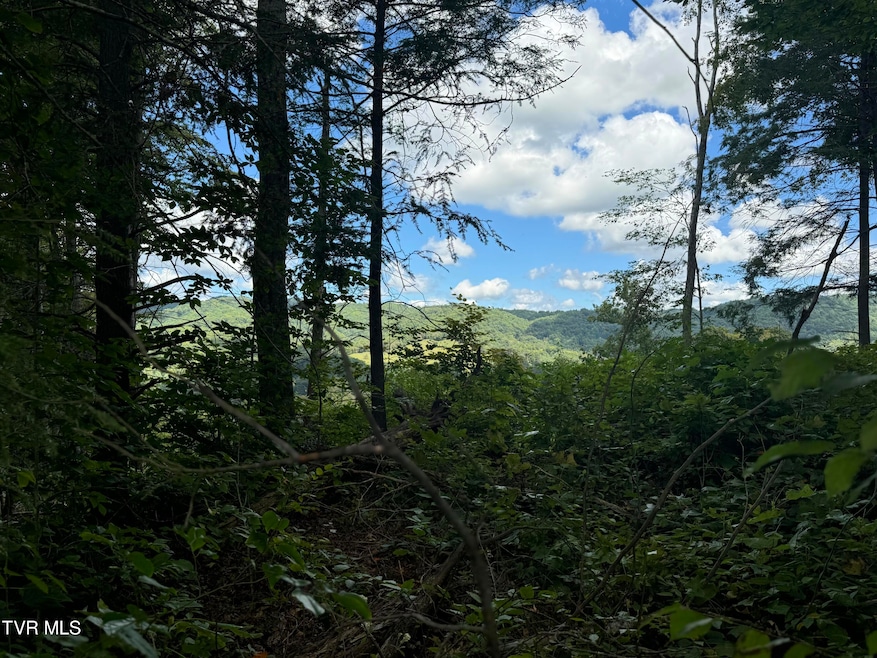 221 Shell Creek Rd, Roan Mountain, TN 37687 - photo 1