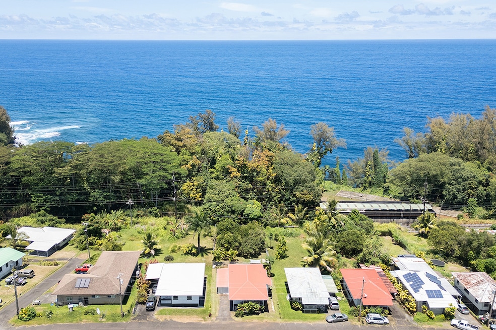Home is located in Honomu town.  The subject property is the 3rd one from left with the red/brown roof, between two white/grey roofs.
