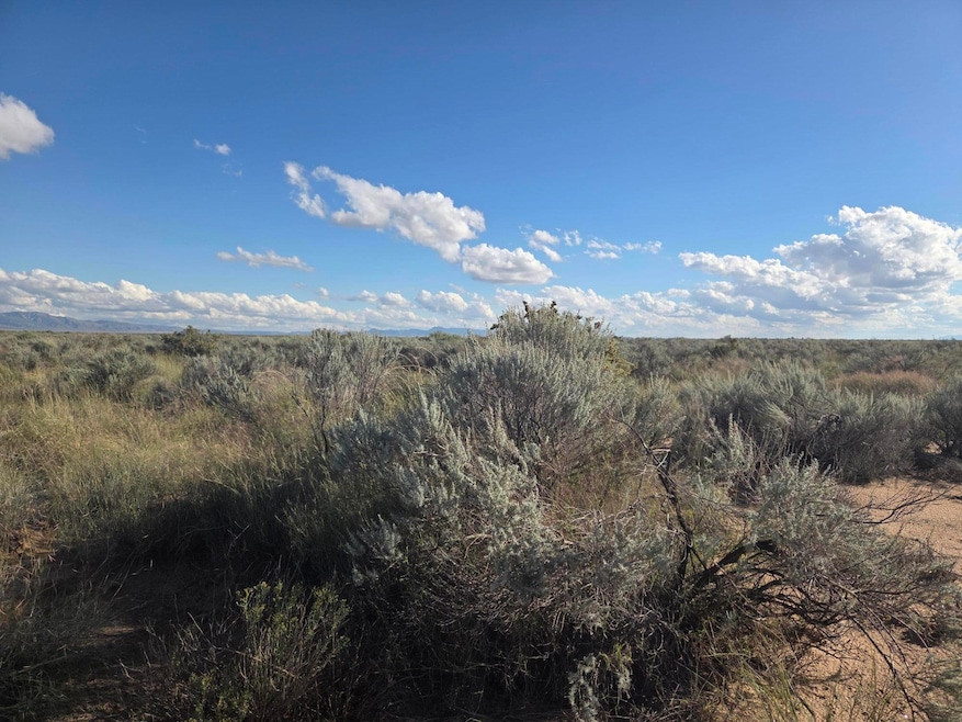 RDO Lot 3 Block 2 unit 51, Los Lunas, NM 87031 - photo 1