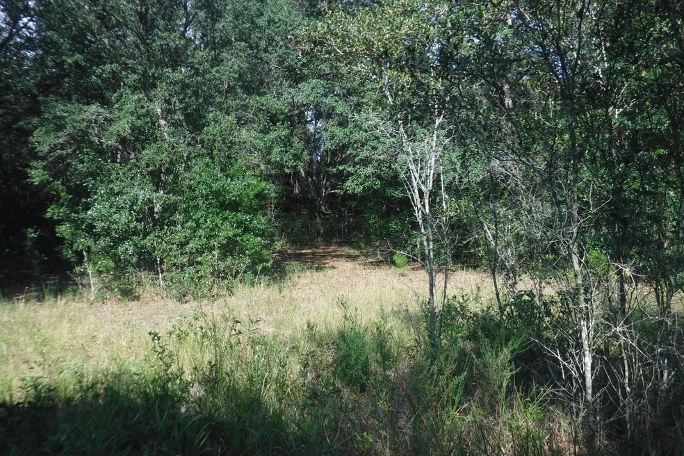 DSCF2062