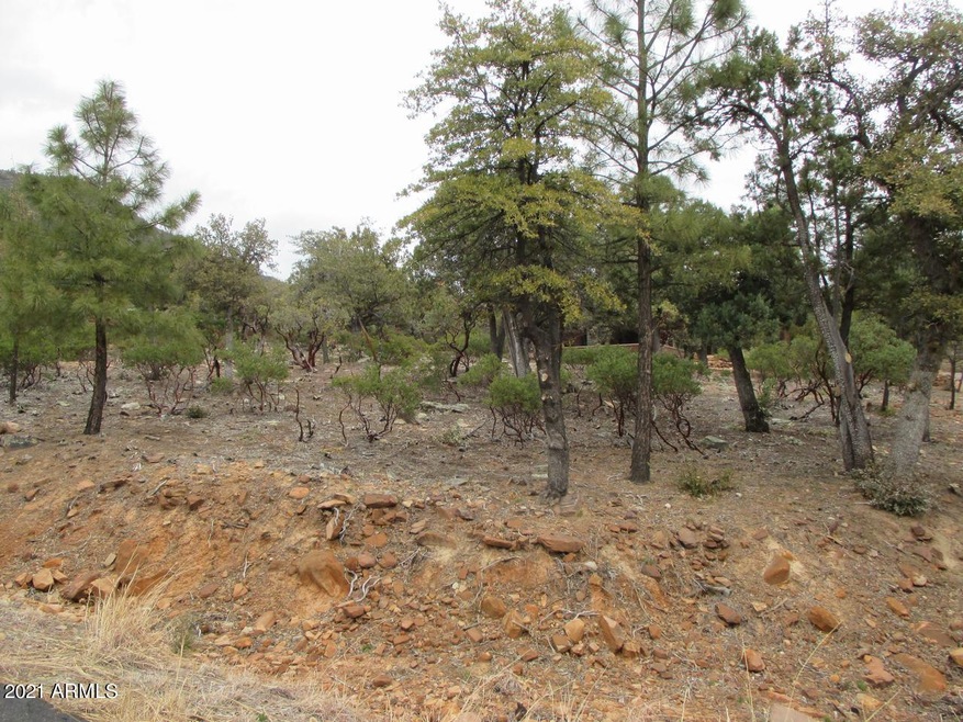 6530 W Ruin Hill Loop unit 150, Pine, AZ 85544 - photo 1