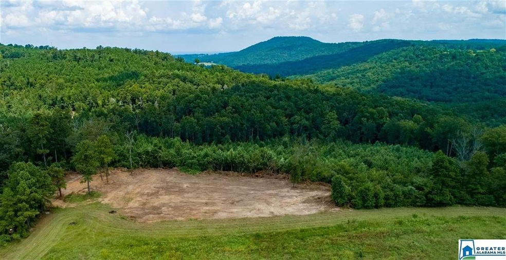 Looking at the property