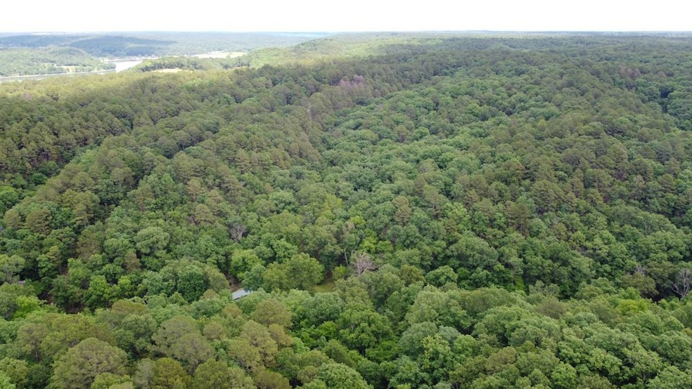 46593 S 590 Rd, Jay, OK 74346 - photo 1