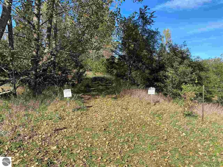 00 E Harrys Rd, Traverse City, MI 49684 - photo 1