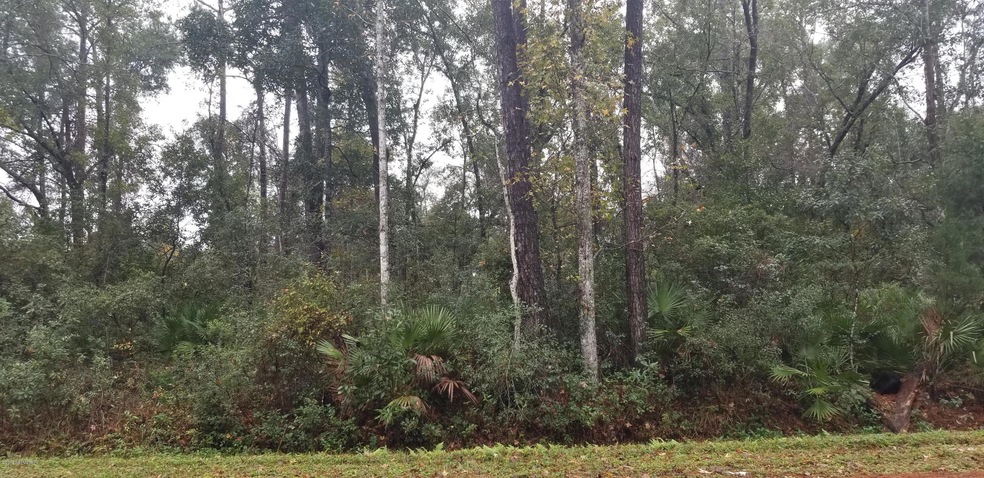 0 Armsdale Rd unit 1030532, Jacksonville, FL 32218 - photo 1