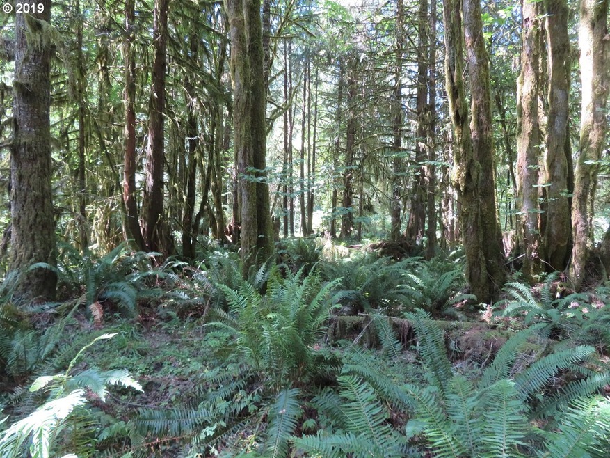 0 Deer Park Ln unit 20 19039654, Toledo, WA 98591 - photo 1