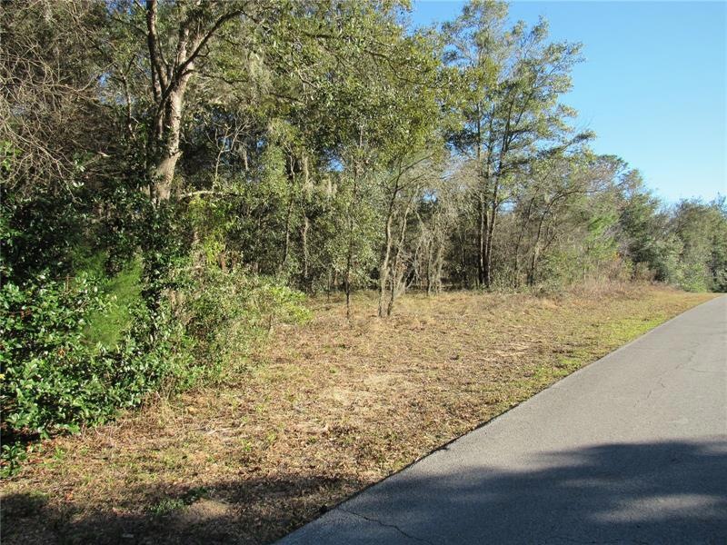 Beautiful One-Half (0.46) Acre New Build Site Available In Lovely Rainbow's End Estates Community Just a Few Minutes To The Rainbow Springs State Park, World Famous Rainbow River and Dunnellon's Historic Town Square!