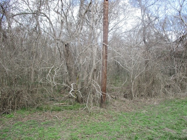 00 Pr648, Other, TX 77414 - photo 1