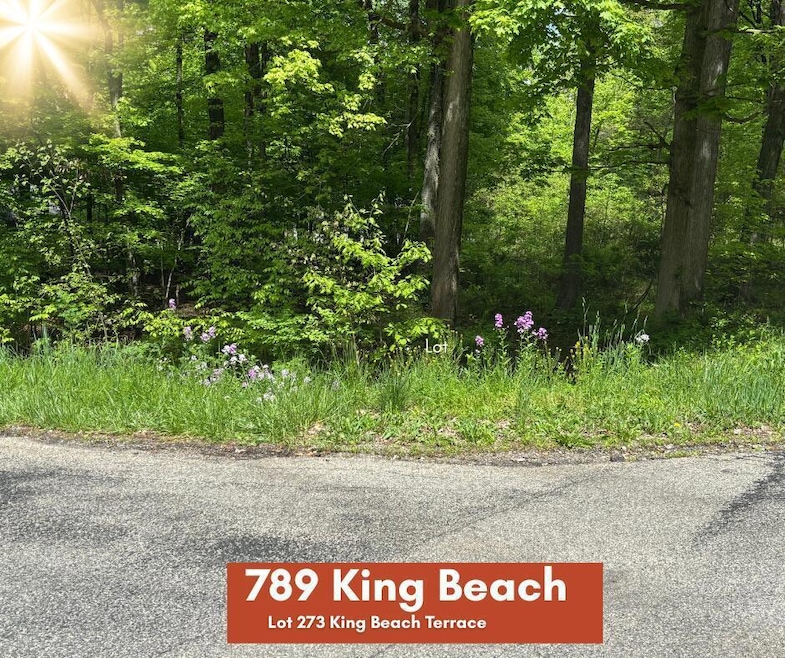 Sold $21,500 • Co-Listing Agent