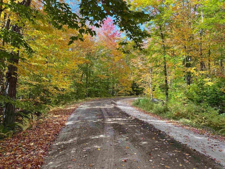 M111 L18 Fox Hill Rd, Stoddard, NH 03464 - photo 1