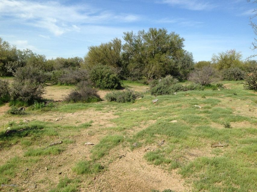 Rio Verde Lot