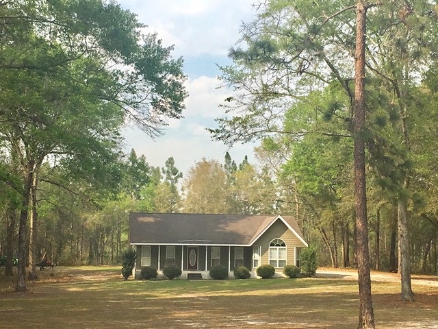 Main View