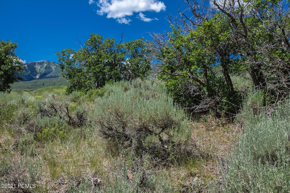 0_Land-Lot_high_3711181