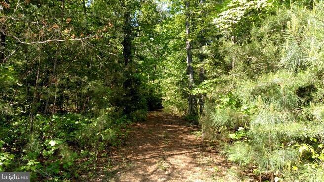 20250 Hawks Way, Leonardtown, MD 20650 - photo 1