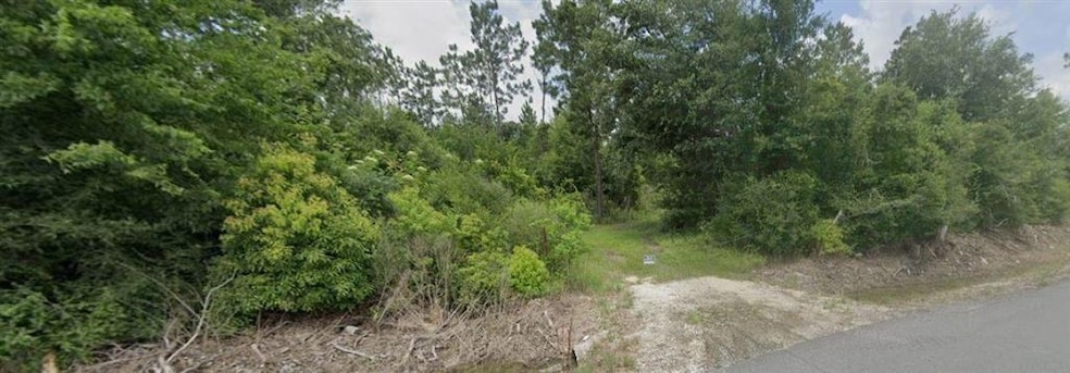 0 Simon Lebleu Rd, Lake Charles, LA 70607 - photo 1