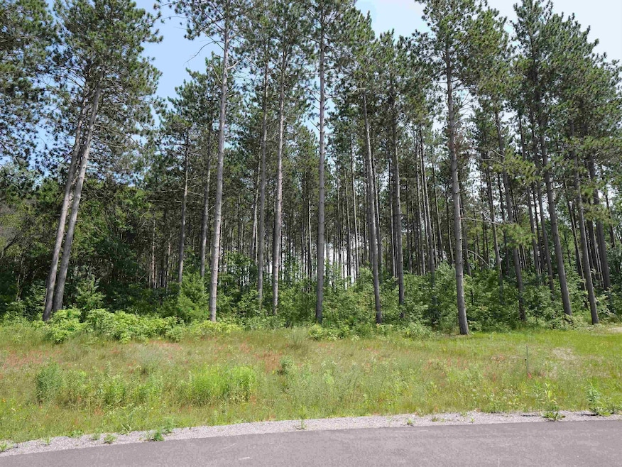 Lot 6 Two Sisters Ct, Stevens Point, WI 54482 - photo 1