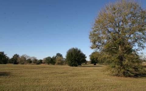 LOT78 Mandiba Dr, Lake City, FL 32024 - photo 1