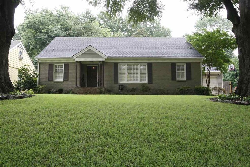 Beautiful lot with gorgeous trees!