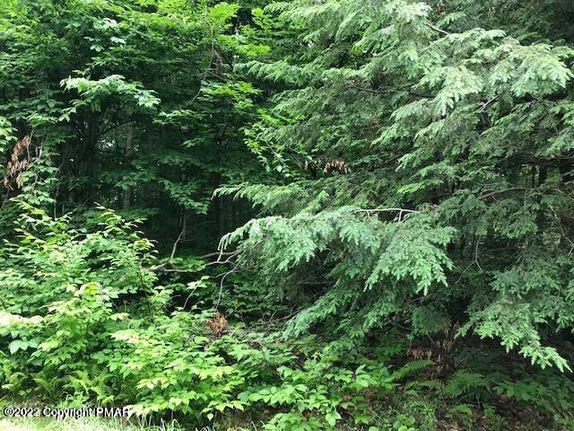 7 & 8 Sweet Briar, Pocono Pines, PA 18350 - photo 1