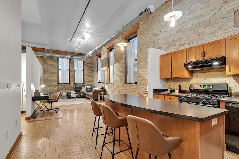 1017 S 2nd St unit 207, Milwaukee, WI 53204 - photo 1