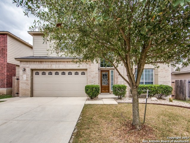 10510 Cosmos Canyon, Helotes, TX 78023 - photo 1