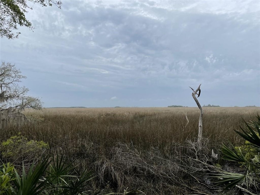 171 Saint Annies Ln, Saint Simons Island, GA 31522 - photo 1