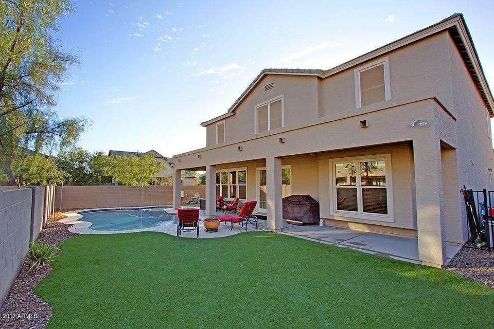 Backyard_2278