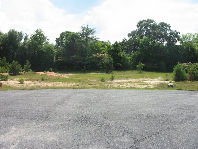 Primary Photo